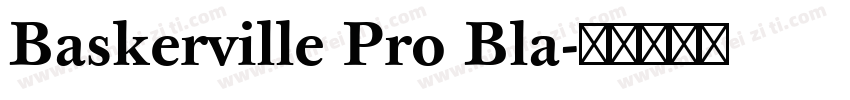 Baskerville Pro Bla字体转换